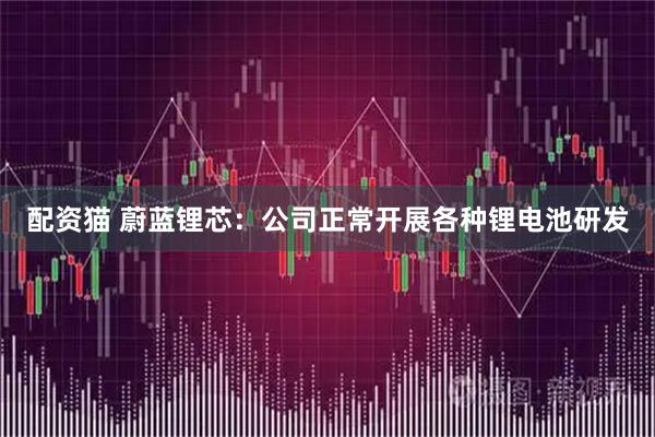 配资猫 蔚蓝锂芯：公司正常开展各种锂电池研发