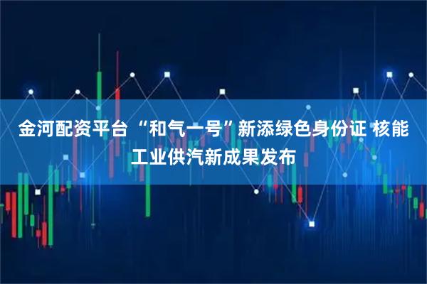 金河配资平台 “和气一号”新添绿色身份证 核能工业供汽新成果发布