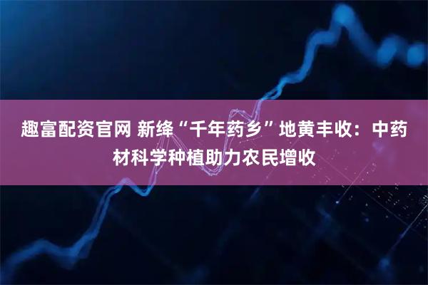 趣富配资官网 新绛“千年药乡”地黄丰收：中药材科学种植助力农民增收